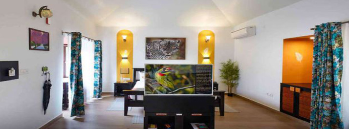 2622/Tathastu Kanha 04.jpg